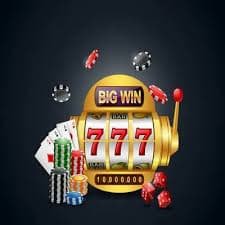 hayvip